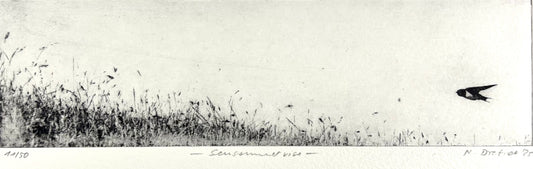Dietrich, Nadine, Sensommervise, 6,5 x 23,8cm, 11/50, Photopolymer Etching