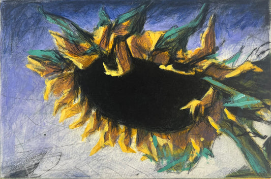 Wever, Peter, Sonnenblume, 15,5 x 23,5cm, 25/100, Radierung