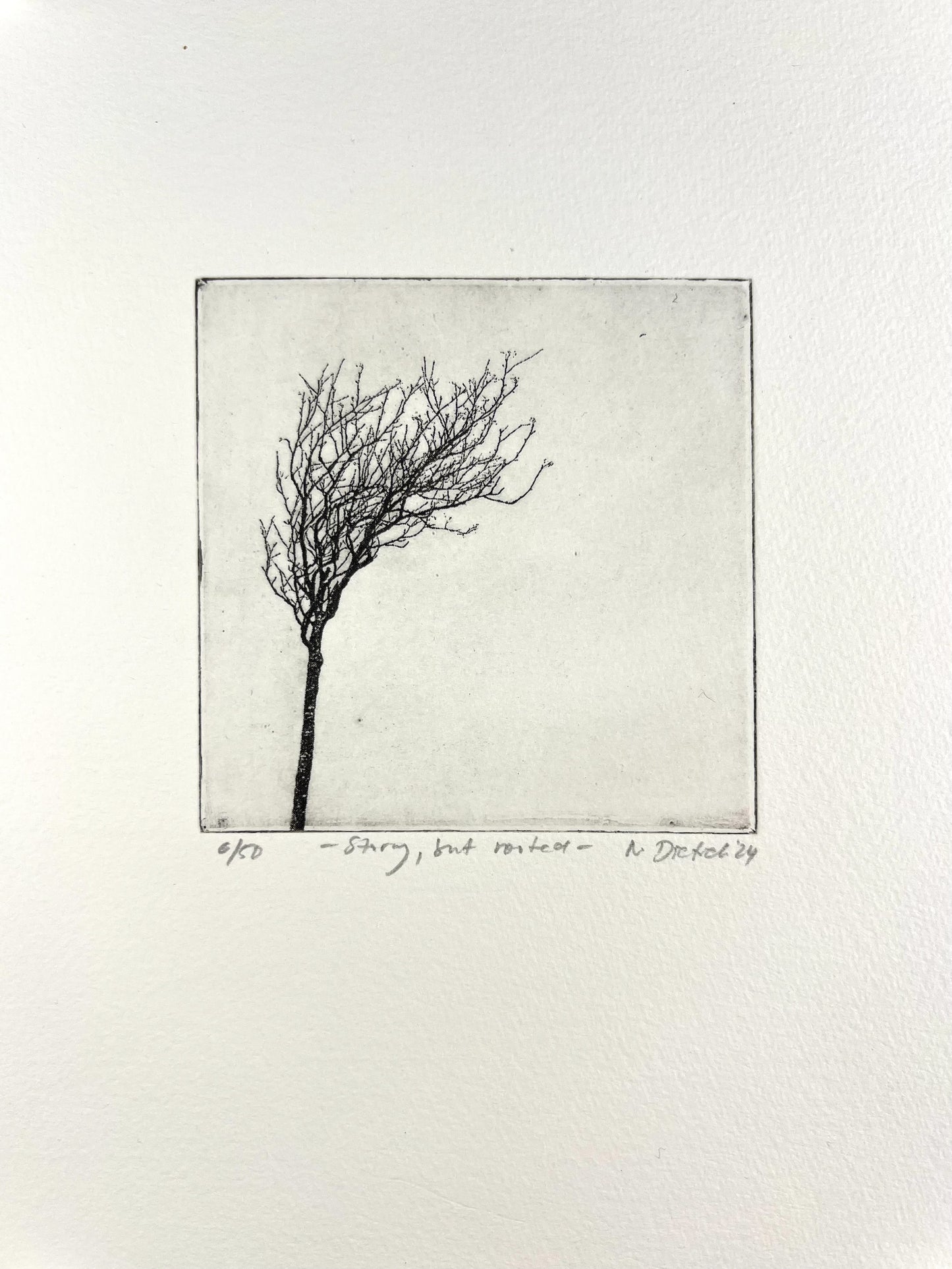 Dietrich, Nadine, Stormy, but rooted, 10 x 10cm, 5/50, Photopolymer Etching