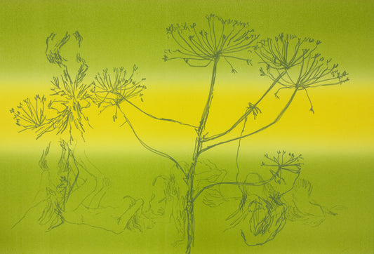 Stürup, Jasper S., Dolden, 37,5 x 55cm, 2/60, Lithografie