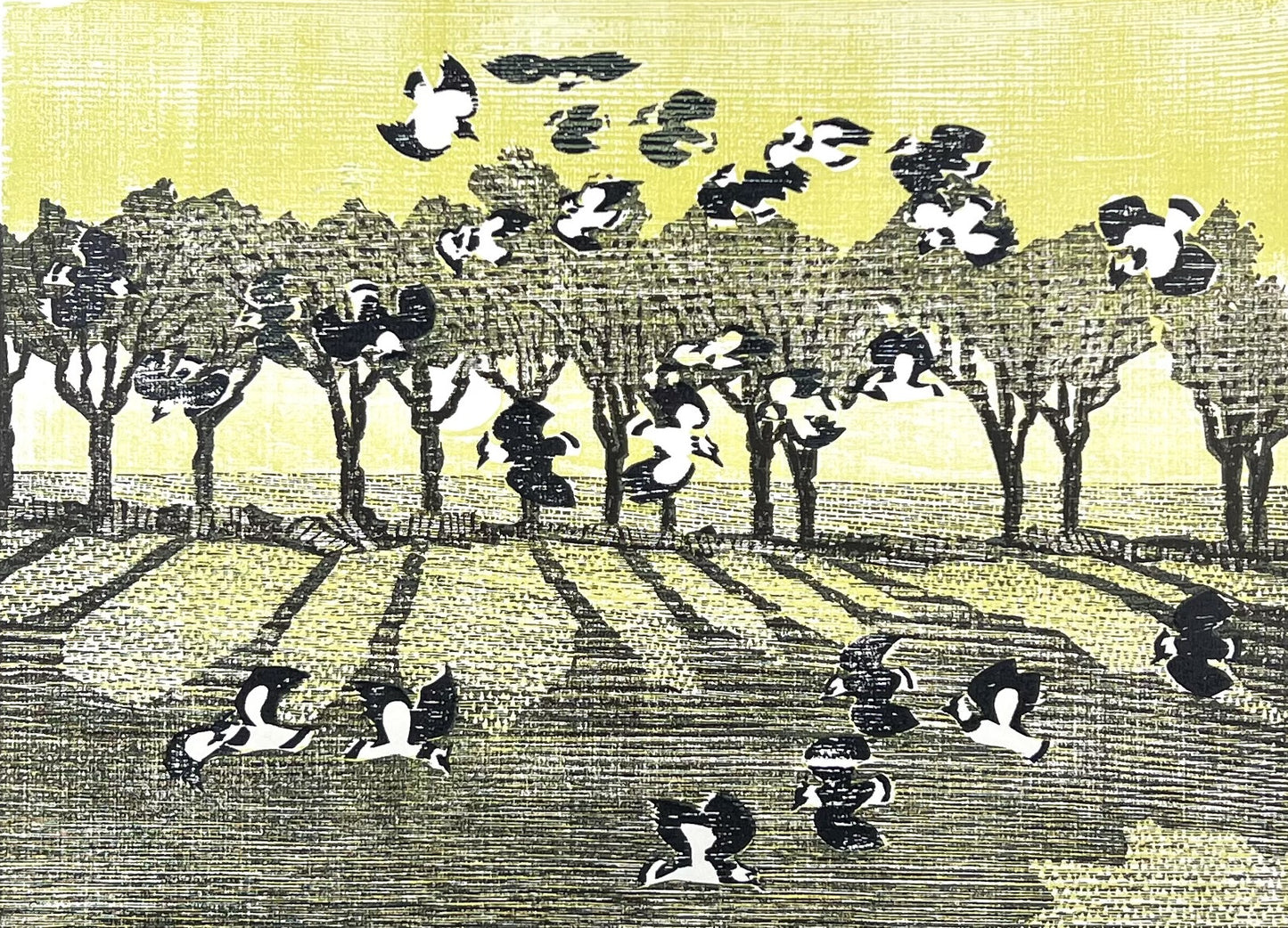 Hermanns, Gerhard, Taumelflug, 24 x 32,7cm, XV/XV, Holzschnitt, 1985