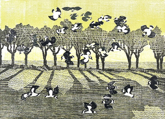 Hermanns, Gerhard, Taumelflug, 24 x 32,7cm, XV/XV, Holzschnitt, 1985
