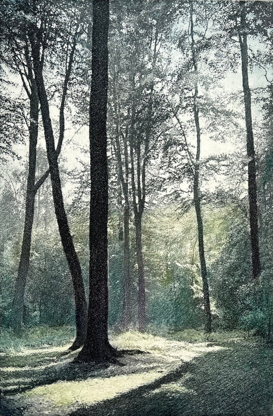 Wieland, Karl, Waldinterieur, 37 x 25cm, Farbradierung