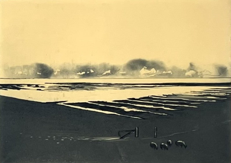 Werkmeister, Wolfgang, Watt IV farbig, 21 x 29,5cm, 10/100, Radierung, 1995