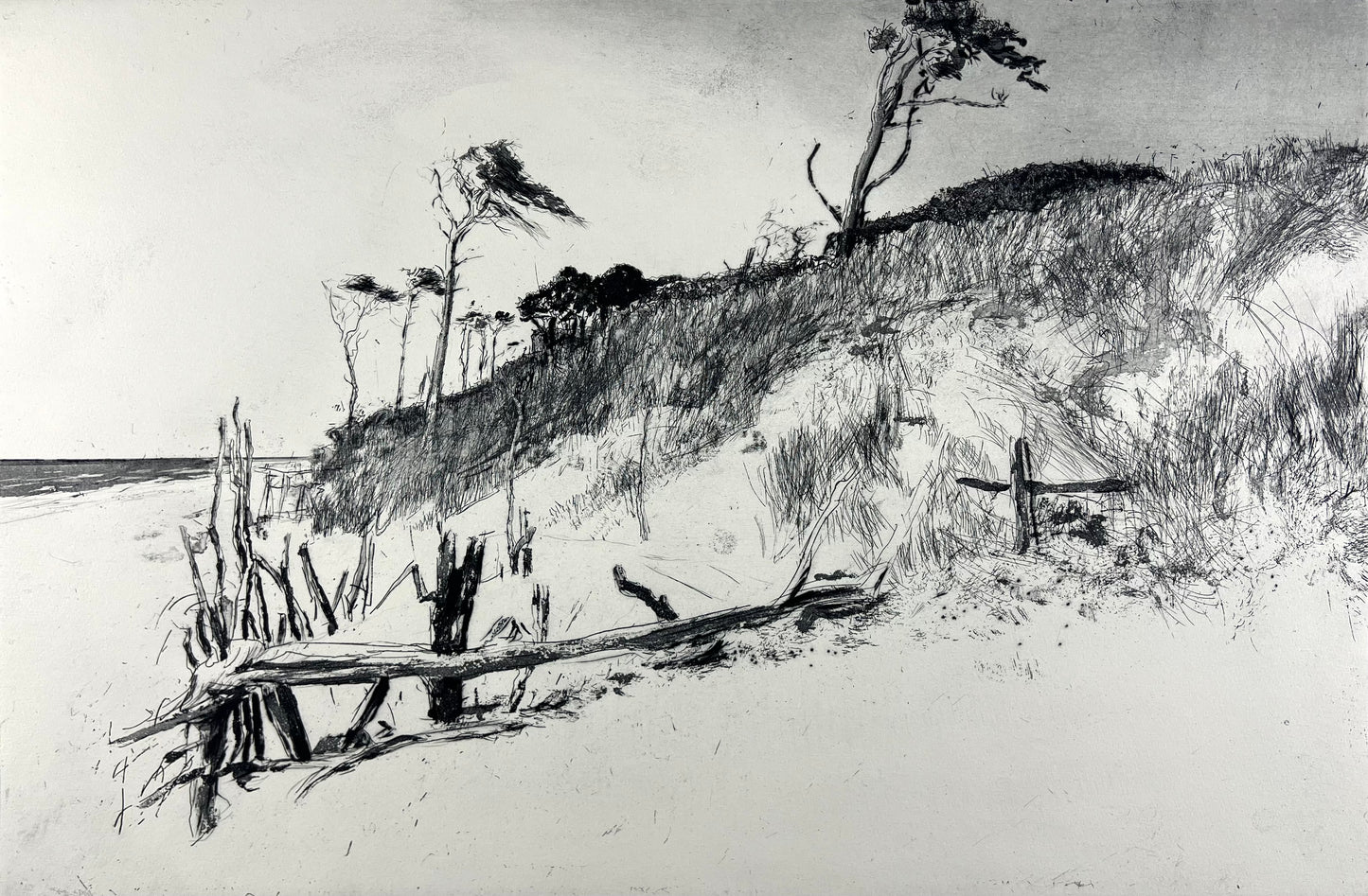 Werkmeister, Wolfgang, Darß XVI, 38,5 x 58cm, 14/85, Ostküstenzyklus, Radierung
