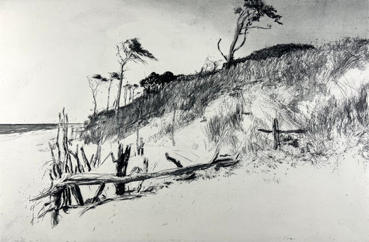 Werkmeister, Wolfgang, Darß XVI, 38,5 x 58cm, 14/85, Ostküstenzyklus, Radierung