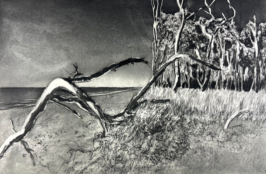 Werkmeister, Wolfgang, Darß XX, 38,5 x 58cm, Ostküstenzyklus, Radierung