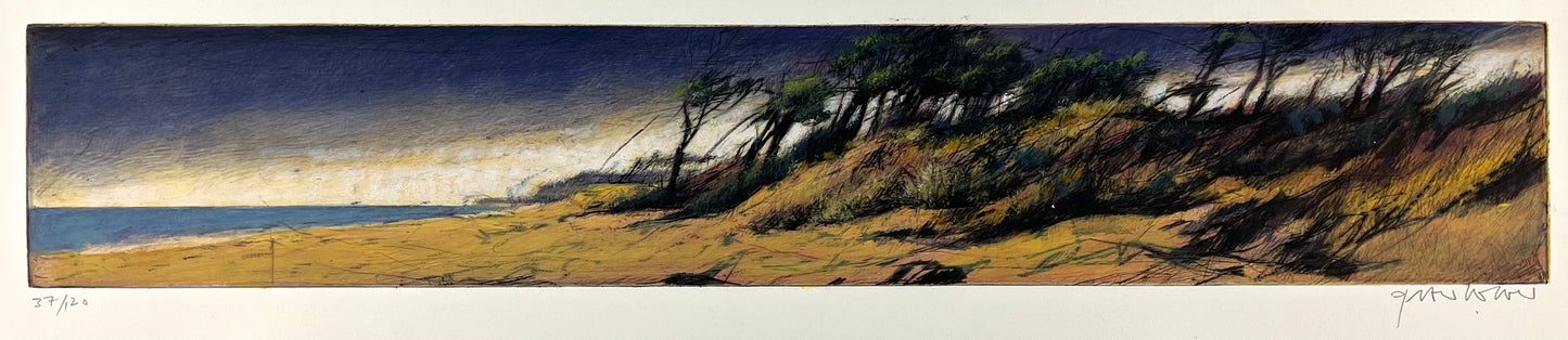Wever, Peter, Weststrand, 14 x 79,5cm, 37/120, Radierung