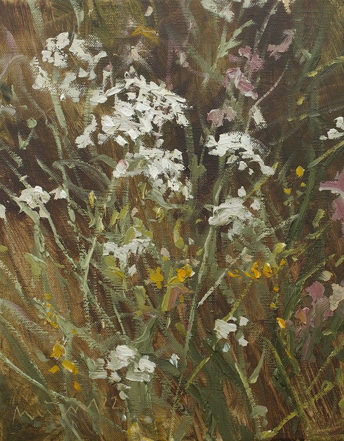 Meinel, Mathias, Wilde Möhre I, 30 x 24cm, Öl auf Leinw., 2022
