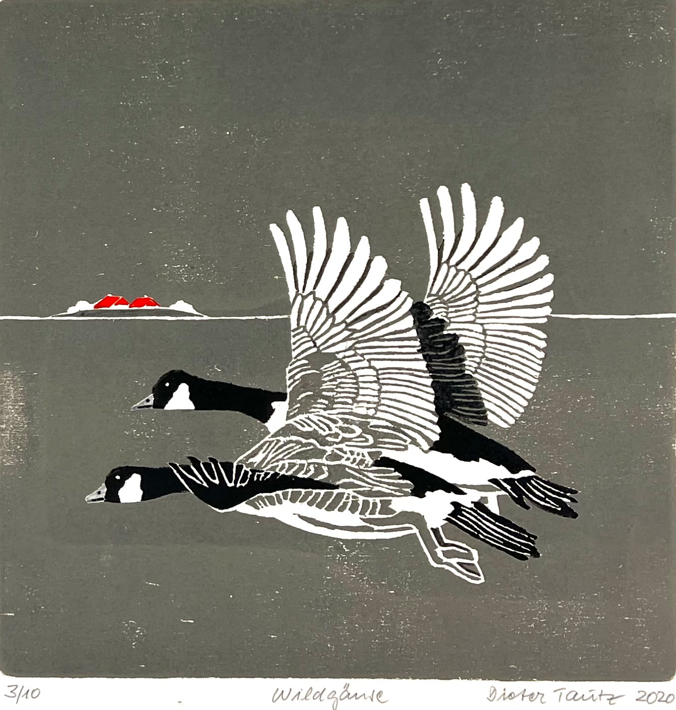 Tautz, Dieter, Wildgänse, 30 x 30cm, 3/10, Farbholzschnitt, 2020