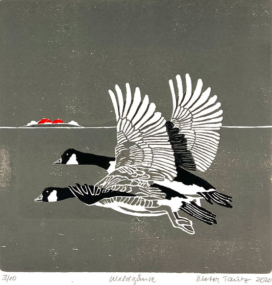 Tautz, Dieter, Wildgänse, 30 x 30cm, 3/10, Farbholzschnitt, 2020