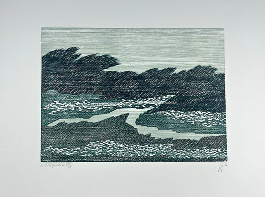 Hermanns, Gerhard, Wollgras, 23,8 x 33cm, 13/15, Holzschnitt, 1987