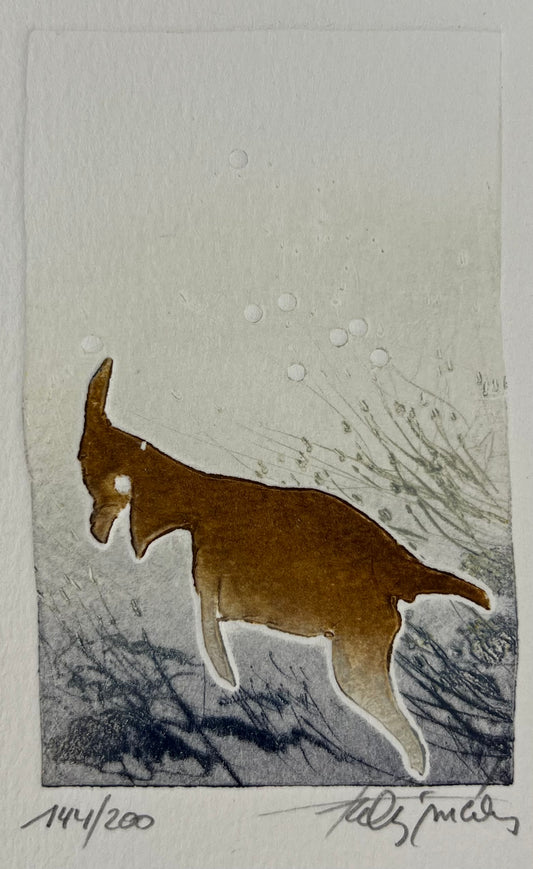 Méan, Francis, Ziege, 11 x 7cm, 144/200, Farbradierung