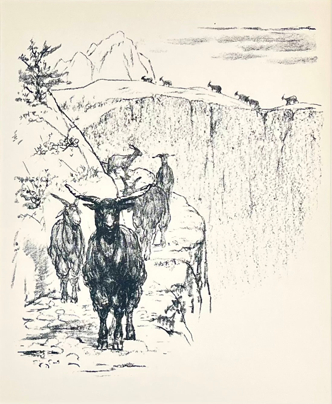 Gaul, Alfred, Ziegen, 29 x 24cm, Lithografie