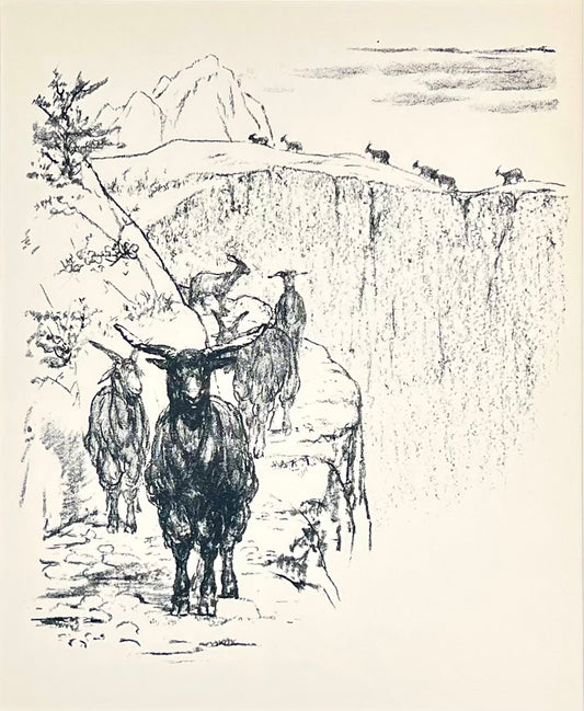 Gaul, Alfred, Ziegen, 29 x 24cm, Lithografie