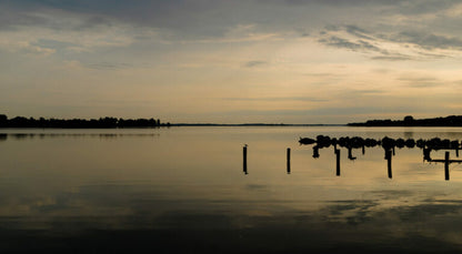 Reinstadler, Mario, Sommermorgen bei Schleswig,  57 x 110cm, 17/50, Pigmentdruck