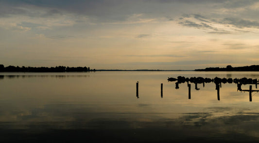 Reinstadler, Mario, Sommermorgen bei Schleswig,  57 x 110cm, 17/50, Pigmentdruck