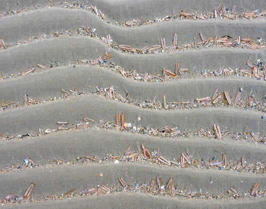 Reinstadler, Mario, Minitreibgut der Nordsee, 55 x 70cm, 13/55,