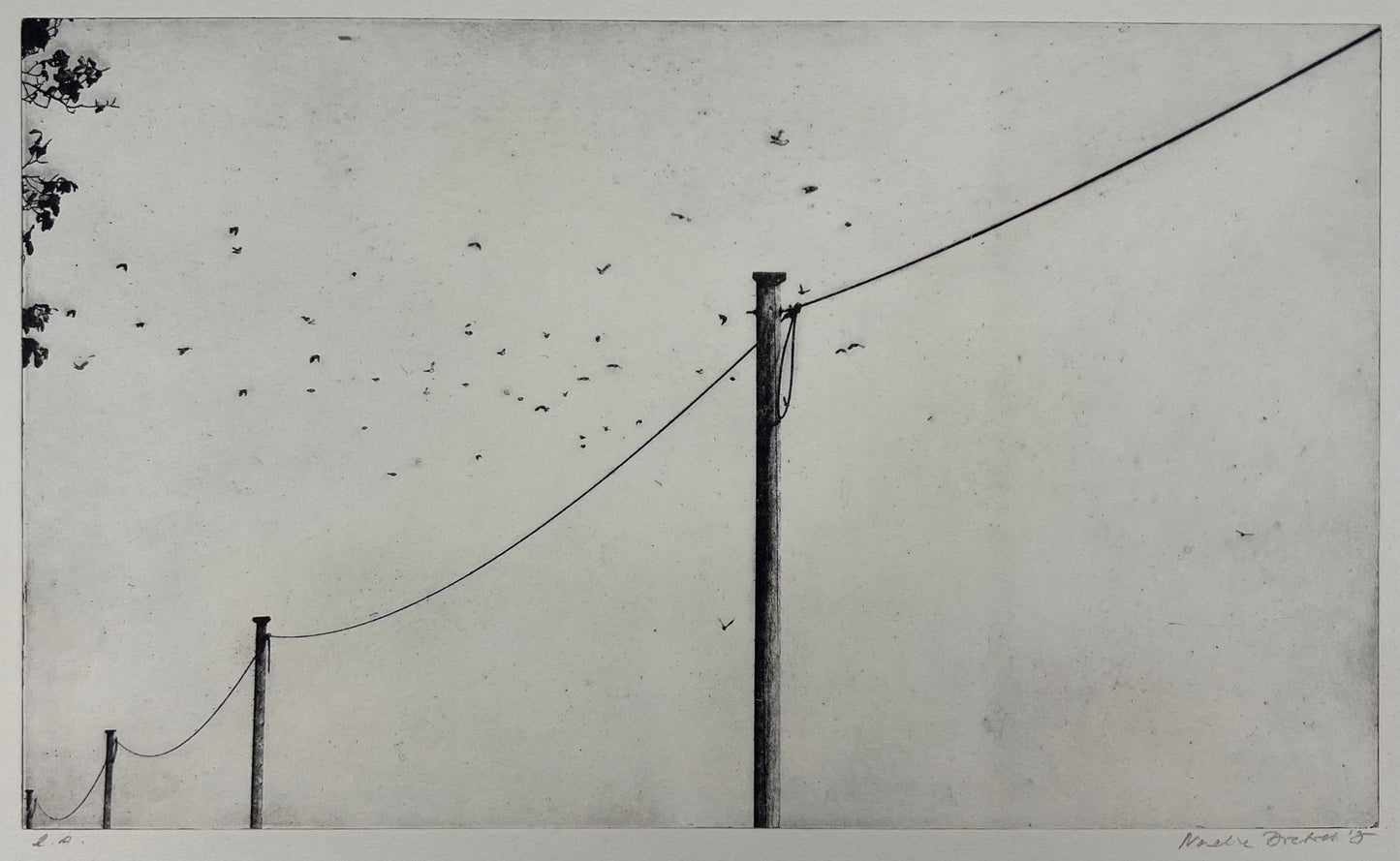 Dietrich, Nadine,  Lange Leitung/ Vögel 1, 21x35,2, e.a., Photopolymer Etching