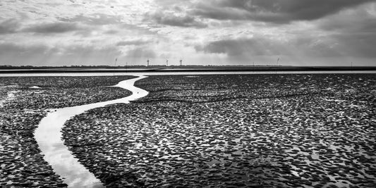 Reinstadler, Mario, Watt und Priel vor Husum, 35 x 70cm, 12/50, Pigmentdruck